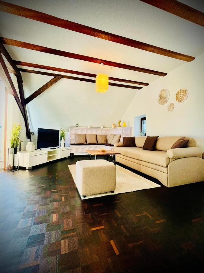 Chris & Aris Ferienwohnung Waldshut Zentrum Экстерьер фото